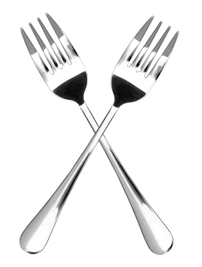 two piece stainless steel fork